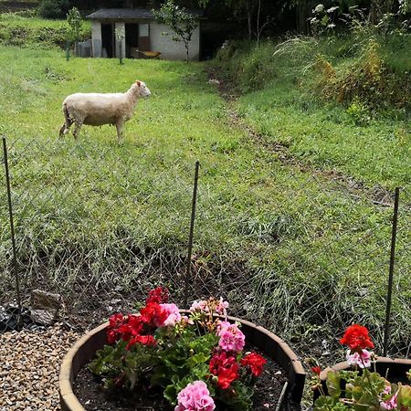 La Pandela ξενώνας Las Herrerías Εξωτερικό φωτογραφία